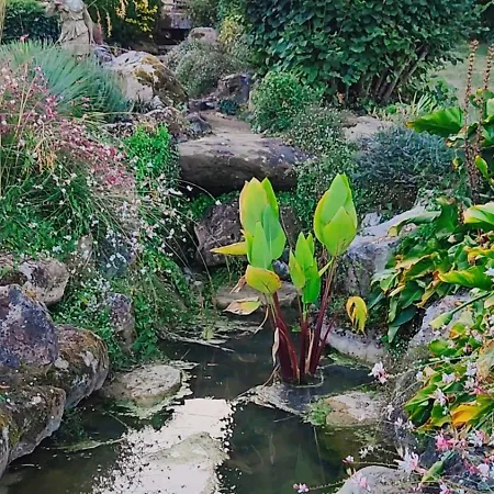 Frühstückspension D'hotes Du Beausoleil Campsegret