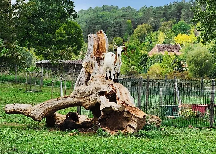 D'hotes Du Beausoleil 3* Campsegret